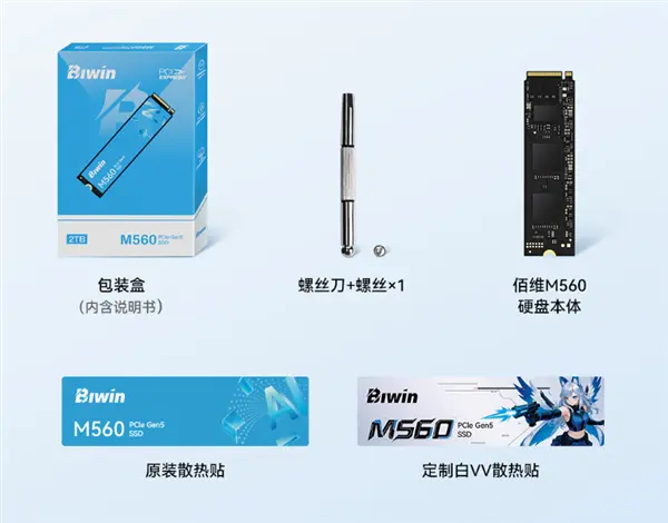Biwin M560 Ling Suo SSD 1TB and 2TB pricing and availability