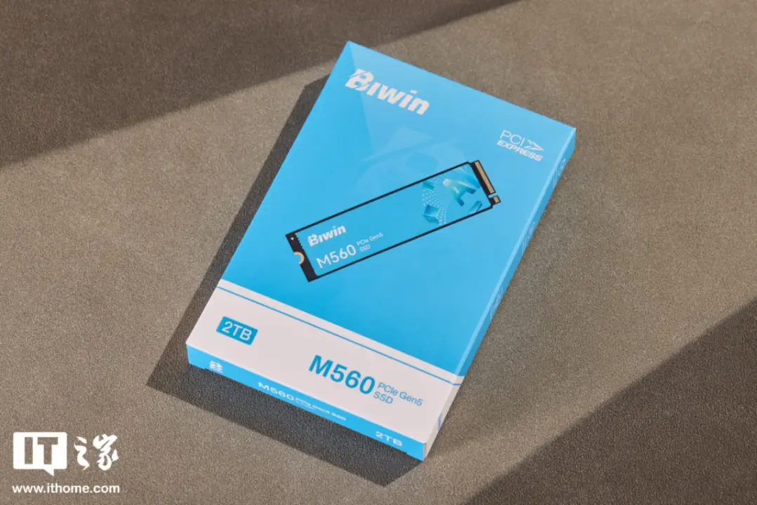 Biwin M560 Ling Suo PCIe 5.0 SSD Unboxed: Single-Sided Design, Two Stickers