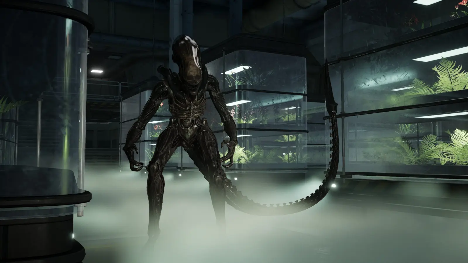 Four-player squad engages in intense firefights against Xenomorphs in the new co-op structure.