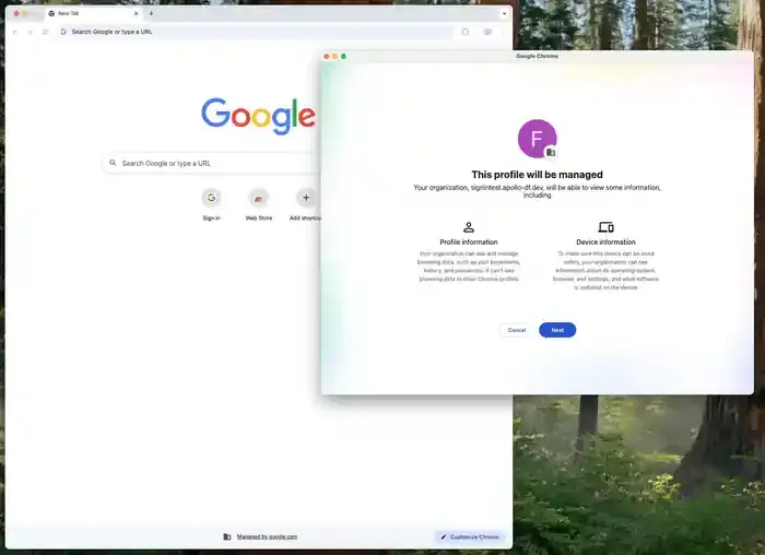 Google Chrome 148 Update: AI Autofill, Government ID Support, and Security Fixes