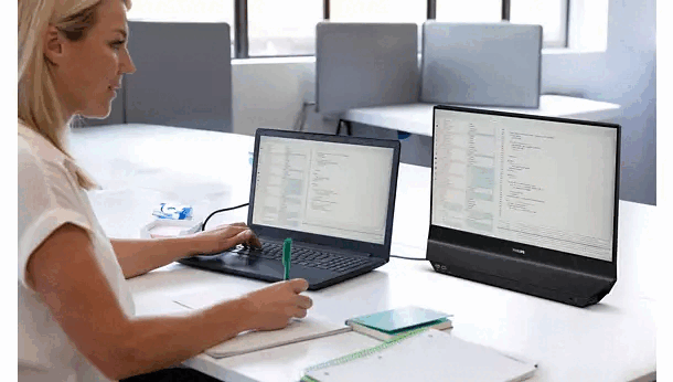 Philips 24B2D5300 dual-screen business monitor with two 23.8-inch IPS panels side by side