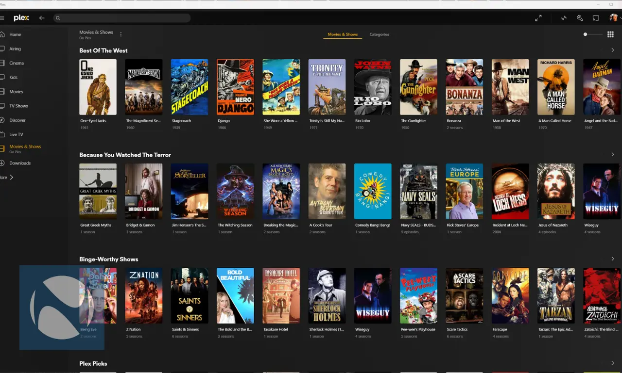 Plex Pass Lifetime subscription price increase to $749.99