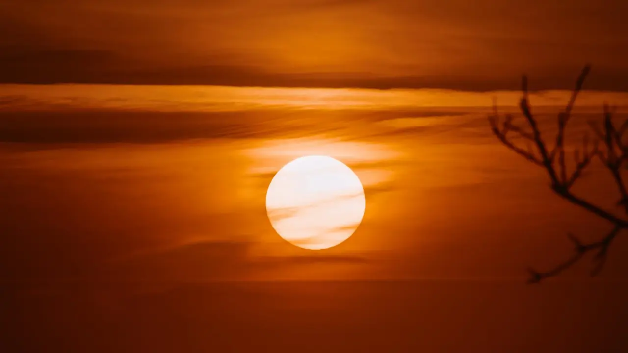 Torsional Alfvén Waves Detected in Sun's Corona for First Time