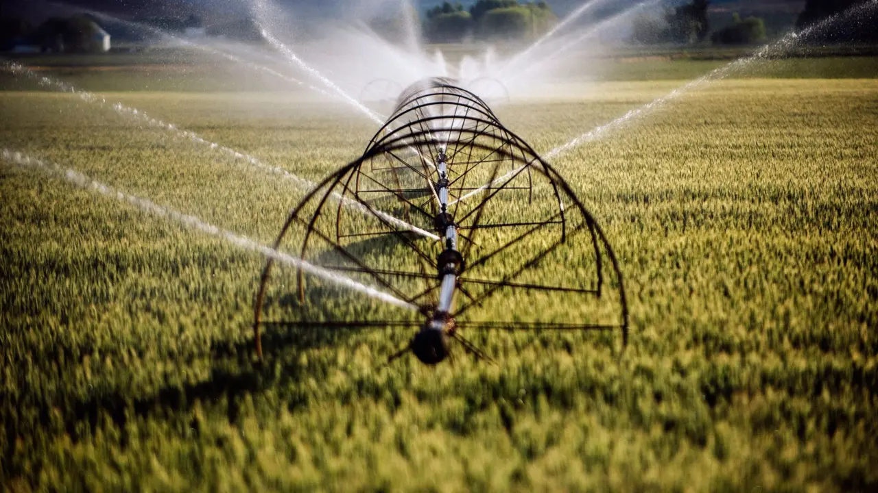 Amazon says its data centers use only 0.075% of US lawn irrigation water