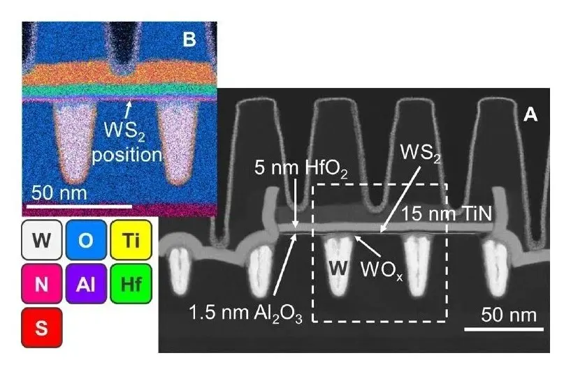 ASML, TSMC, and imec Achieve 300 mm Integration of 2D-Material Transistors