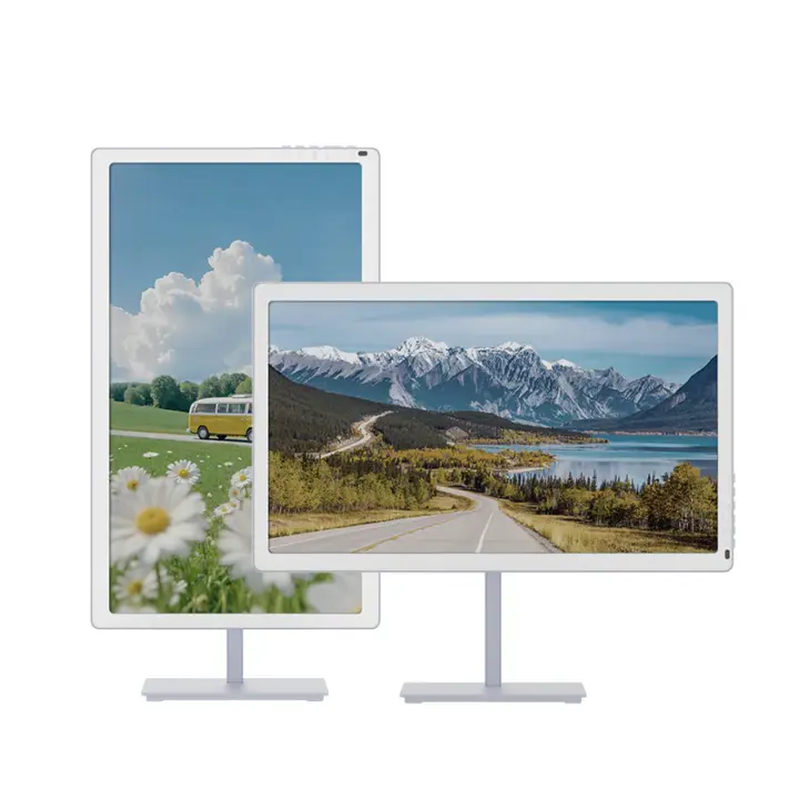 BIGME B251 PRO 25.3-inch color E-ink monitor