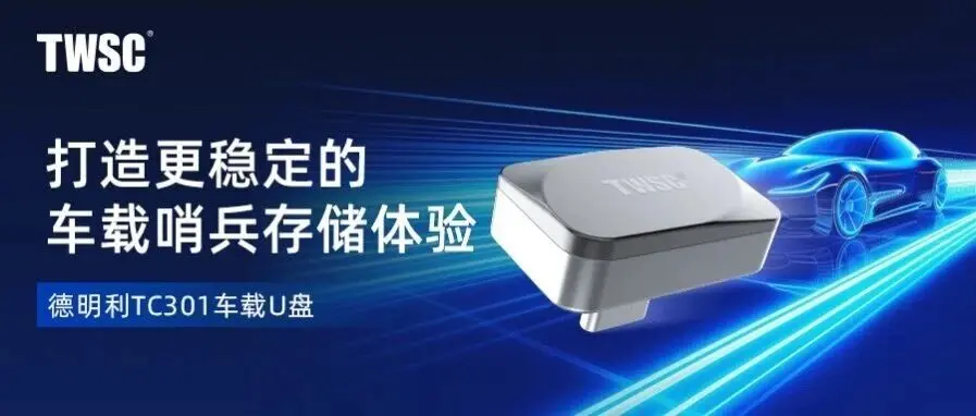 Demingli TC301 Automotive Flash Drive Features T-Shaped Metal Body