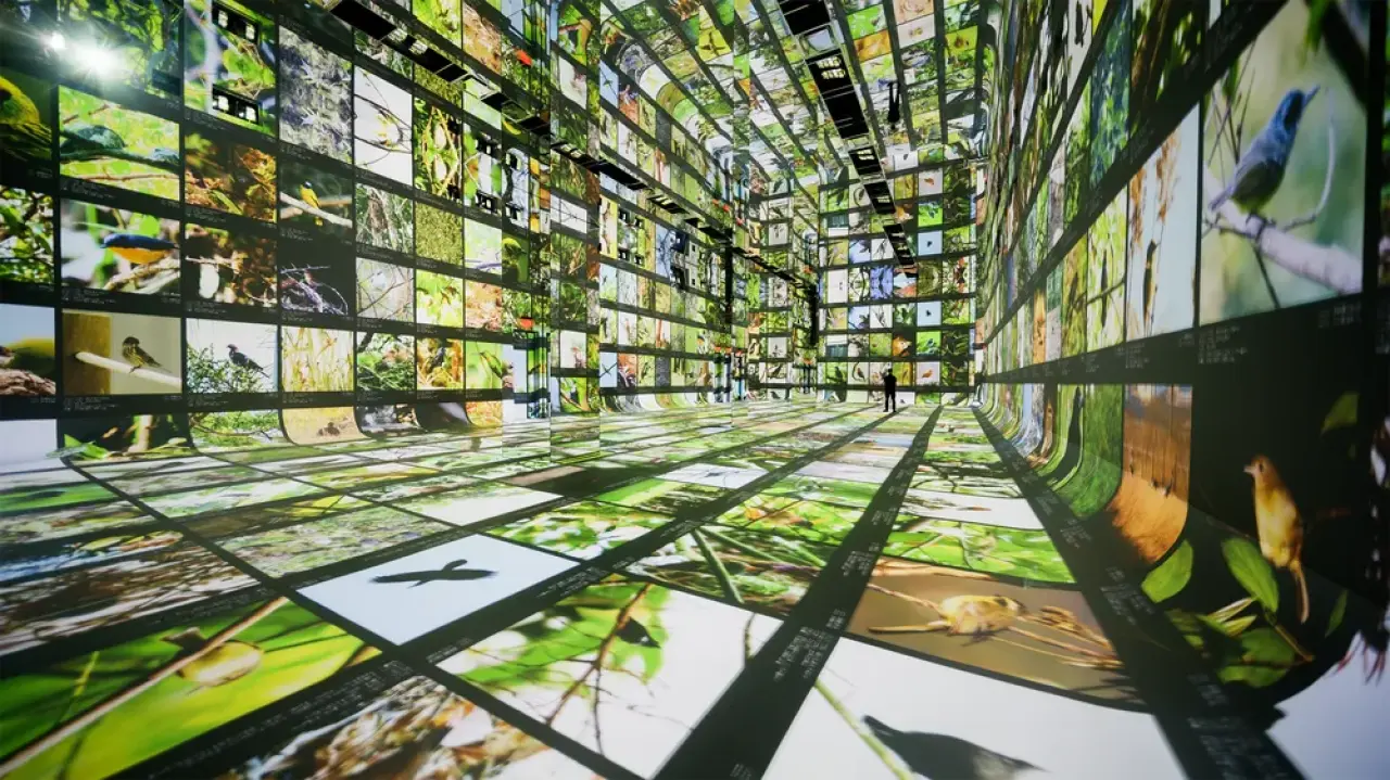Google Opens Dataland, World’s First AI Arts Museum in Los Angeles