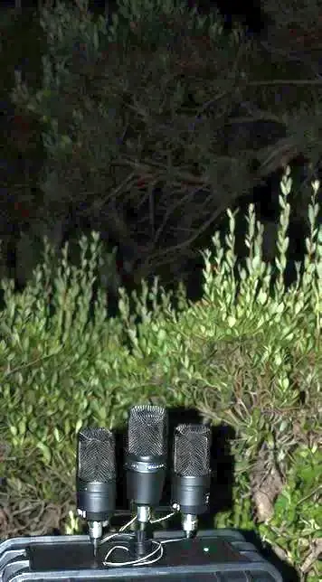 Rockstar North headquarters in Edinburgh surrounded by bushes