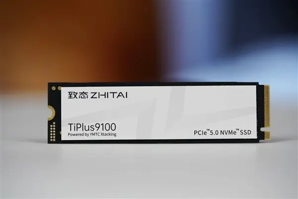 NAND flash memory chips