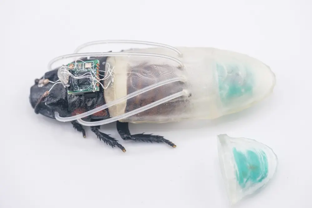 Cyborg Cockroach Survives 3 Hours Underwater Using Chemical Oxygen