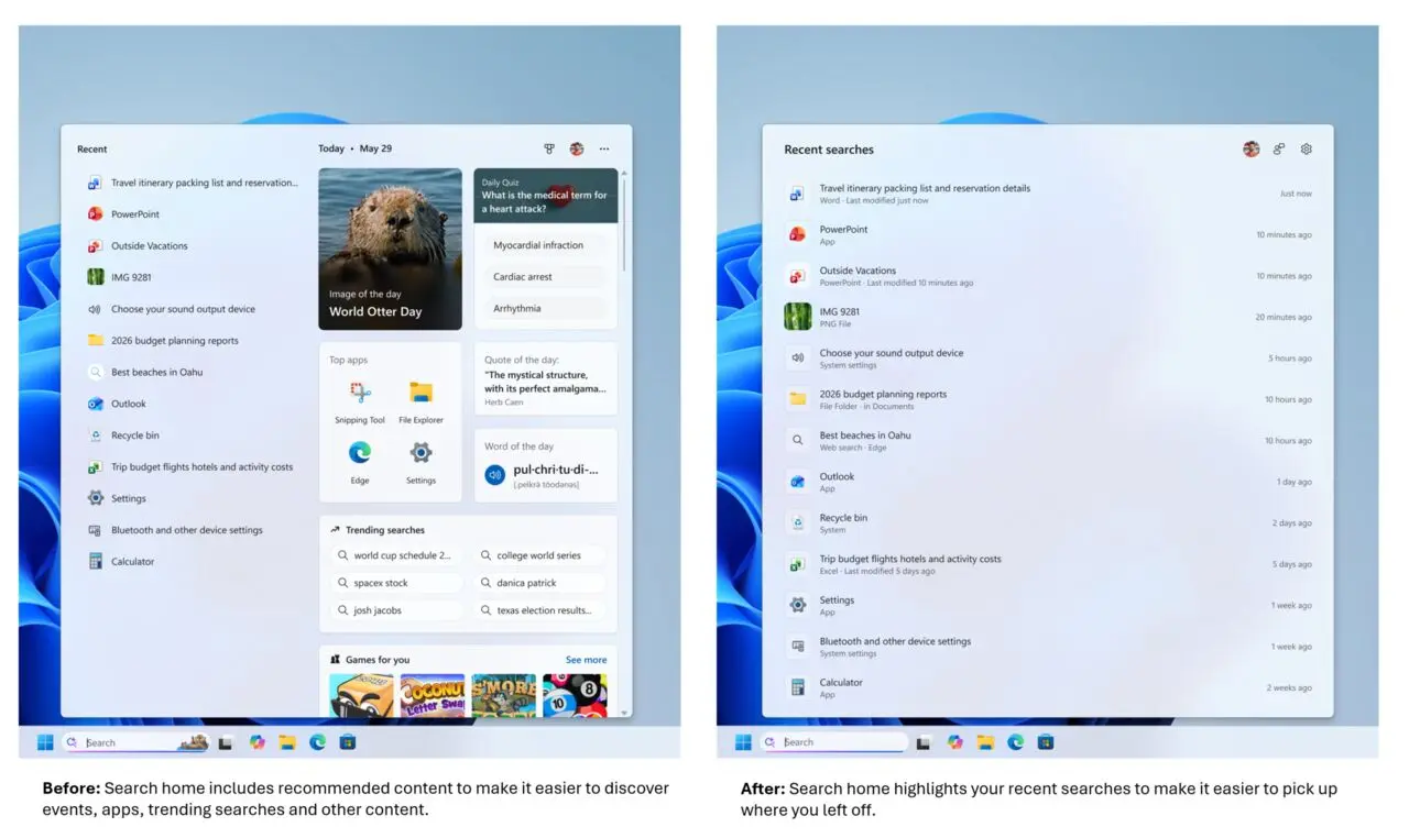 Windows 11 Search interface showing clean results