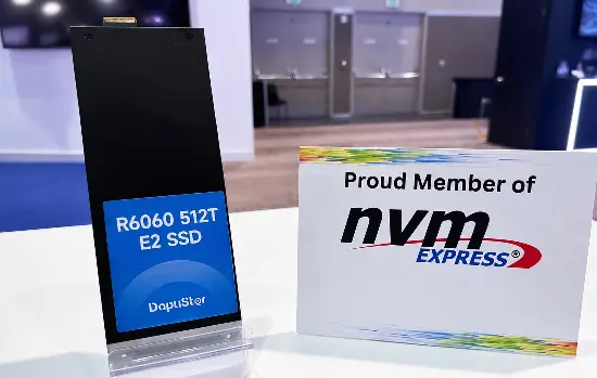 DapuStor R6060