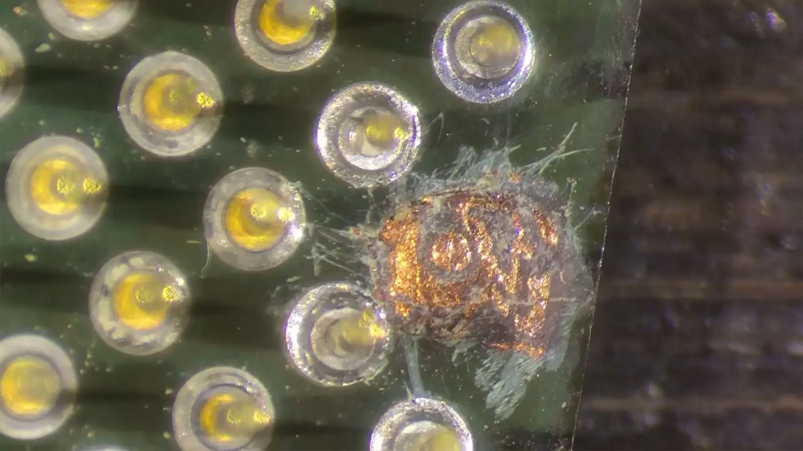 Close-up of the Intel Celeron 1200 substrate repair showing the donor pin soldering work