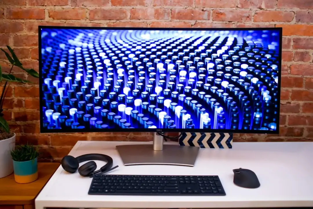 Dell Monitors