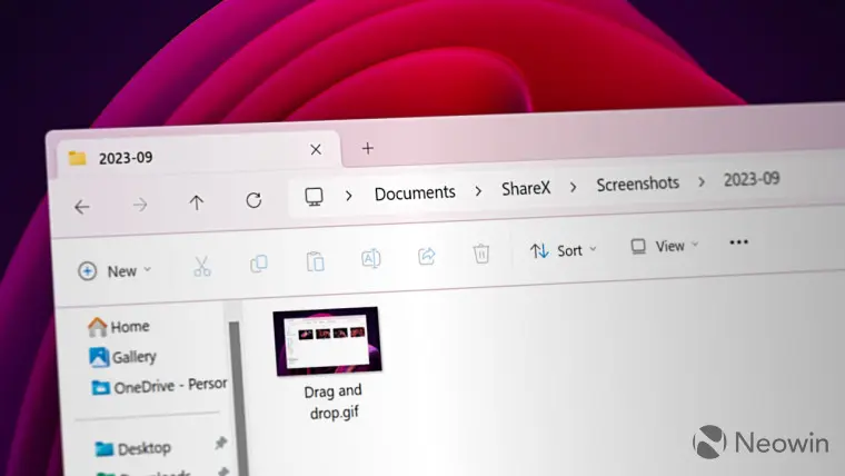 Microsoft Windows 11